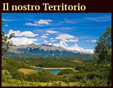 Il nostro Territorio
