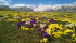 images/sampledata/gall_terri/parco/1gransa.png